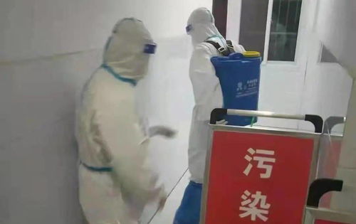 逆行守护绿意 筑起防疫堡垒——市园林绿化中心下沉干部抗疫防控工作纪实
